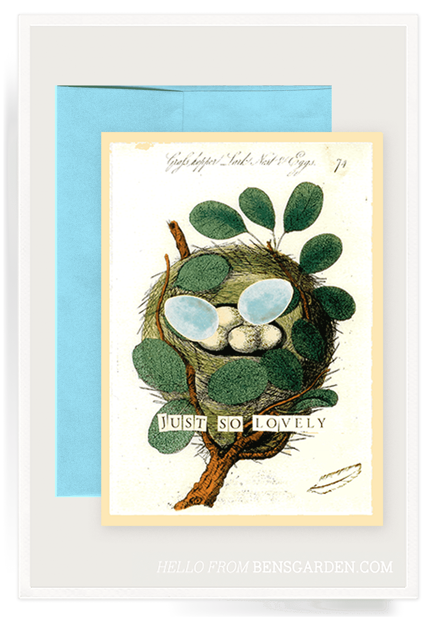 card-so-lovely-the-tiny-finch