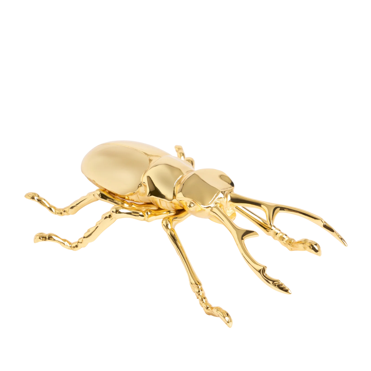 Longhorn Bottle Opener - Thumbnail 5